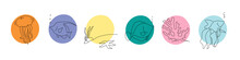 Collection Of Modern Simple Abstractions: Silhouettes (sketch) Of Marine Life - Jellyfish, Fish, Coral, Starfish With Algae With Geometric Shapes (circles) On A White Background