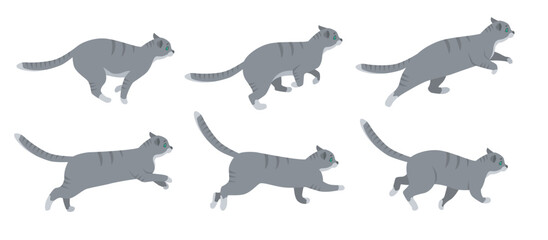 Wall Mural - cute cat cartoon character running vector illustrations set. animation frames of kitten in action, p