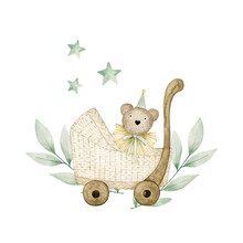 Watercolor Illustration Card With Bear In Stroller And Eucalyptus. Isolated On White Background. Hand Drawn Clipart. Perfect For Card, Postcard, Tags, Invitation, Printing, Wrapping.