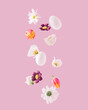 White daisies, tulips, roses, Easter eggs and various flowers floating on pastel pink background. Minimal and creative spring concept.