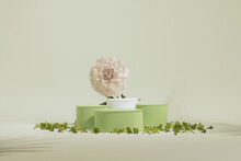 3D Podium Display, Pastel Green Background With Hydrangeas Flower And Decorative Vases. Peonies Flower And Nature Leaf. Minimal Pedestal For Beauty, Product. Feminine Copy Space Template 3d Render
