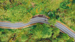 Road through green forest, Aerial view of motorbike riding through forest, Forest top aerial view, Texture of forest view from above