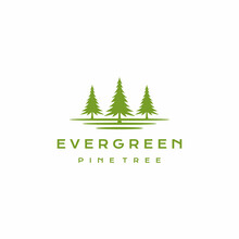 Evergreen Pine Fir Hemlock Spruce Conifer Cedar Tree Logo Design Vector Illustration