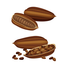 Poster - Set of dried cocoa beans. Natural healthy product vector illustration