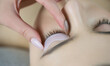 Eyelash Care Treatment: eyelash lifting, staining, curling, laminating and extension for lashes. Close up of beauty model's face with long eyelashes, lash lift laminate procedure