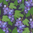 Hand drawn seamless pattern with grapes and plants on a dark blue background. Vector Illustration