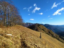 View Of Kamniski Vrh In Kamnik-Savinja Alps, Slovenia With Steep Dry Grass Covered Slopes On One Side And Broadleaf Beech Forest On The Other