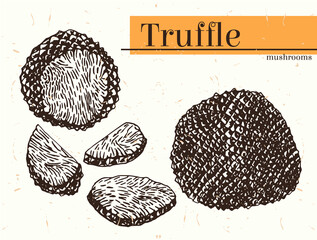 Vector drawn Set of Truffle Mushrooms. The concept of Expensive Delicatessen Mushrooms whole, cut into slices, halves, etc. Hand drawn Truffle isolated collection on kraft paper.