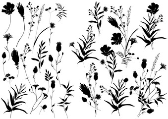 Wall Mural - Big set silhouettes botanic floral elements. Branches, leaves, herbs, flowers. Garden, field, meadow wild plants collected in bouquet collection. Vector illustration isolated on white background