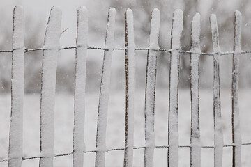 Poster - Wooden fence covered in snow