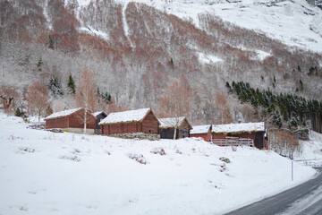 Poster - Beautiful shot of a rural landscape shot in the winter