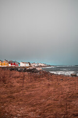 Wall Mural - Vertical shot of a coastline with a colorful countryside houses and a sea view