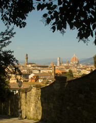 Wall Mural - view of florence from oltrarno