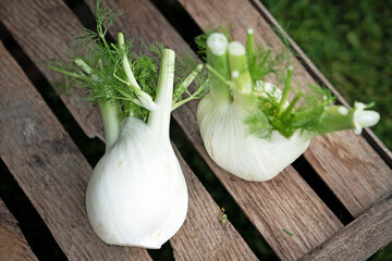 two Fennel on wooden box