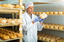 Professional Cheese Maker Controlling Maturing Process Of Goat Cheese Wheels Placed On Shelves Of Storehouse At Factory