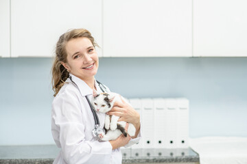 Sticker - Vet hugs a cat at veterinary clinic. Empty space for text