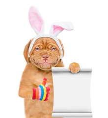 Poster - Smiling puppy wearing easter rabbits ears shows empty list and thumbs up gesture. Isolated on white background