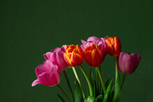 Composition With Orange And Pink Tulips On The Green Surface