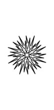 Basic Pattern Of Sea Urchin Ornament 