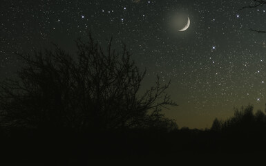 Wall Mural - big moon