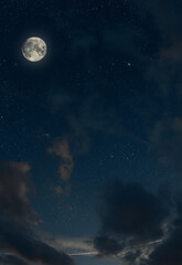 Wall Mural - big moon