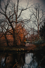 Sticker - Vertical shot of an autumn landscape with a river and tree reflections on it