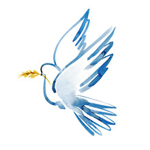 Pray For Ukraine, A Dove With A Wheat Ear Wishes For Peace. Bird Of Peace And Kindness