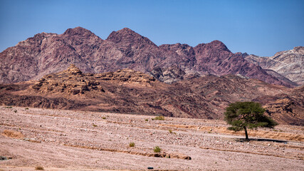 Wall Mural - Mountains between the city of Aqaba and the Wadi Rum Protected Area near the Jordan-Saudi border. Tutun, Jordan.