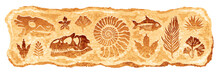 Fossil Vector. Archeologic Fossil Dig Set. Dinosaur Dino Foot, Sea Animal, Fish Skeleton, Plant, Shell. Ancient Sand Stone. Evolution Rock Prehistoric Art. Paleontology, History Limestone Watercolor