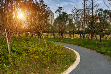 walkway in the modern city