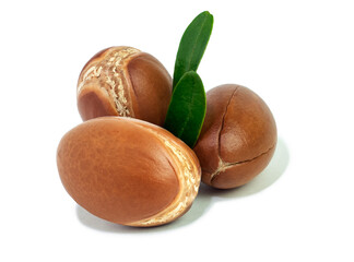 Wall Mural - Moroccan Argan nuts with green leaves on white isolated background. Argan seeds, for the production of oil