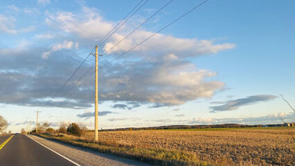 Wall Mural - View of an empty rural road with electric poles on the side.