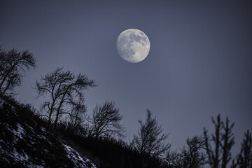 Beautiful view of the moon in the dark sky over the forest late at night