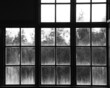Grayscale of a window with a wooden windowpane from which tree silhouettes can be seen