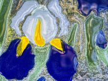 Closeup Of A Blown Glass Art