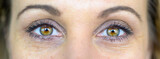 Fototapeta  - Close up on the beautiful brown eyes of a middle-aged woman