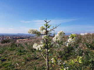 Sticker - Paesaggio