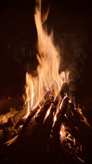 Sticker - Vertical shot of burning fire in an oven