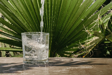 Canvas Print - Closeup shot of pure water pouring into a glass with palm leaves in the background