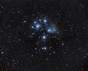 Wall Mural - Pleiades Cluster