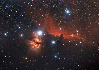 Wall Mural - Horsehead Nebula