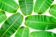 Leinwandbild Motiv banana leaf  pattern with green texture colorful.