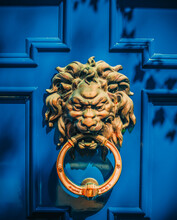 Lion Door Color Blue Metal Antique New York City 