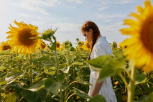 Woman With Pigtails In A White Dress Stands With Her Back In A Field Of Sunflowers
