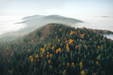Fototapeta Natura - Herbstwald I