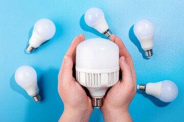 Big LED light bulbs in male hand on blue color background with little led lamps. Flat lay with copy space. Concept ecology, save planet earth, idea, save energy, economy, saving. Earth day