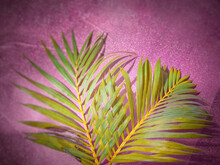 Lent Season,Holy Week And Good Friday Concepts - Palm Leaves With Bokeh In Purple Vintage Background. Stock Photo.
