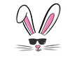 Easter bunny rabbit in sunglasses vector illustration drawn by hand. Bunny face, ears and tiny muzzle with whiskers isolated on white background
