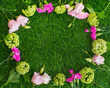 Kwiaty różowe na trawie, kompozycja na zielonym tle