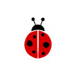 Hand drawn ladybug bug icon